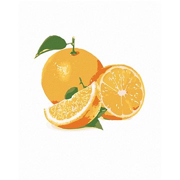 Malování podle čísel - Pomeranč (HRAmal00735nad)