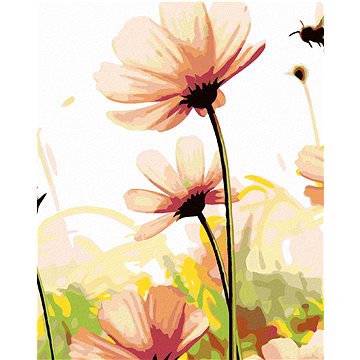 Malování podle čísel - Květy na louce (HRAmal00739nad)