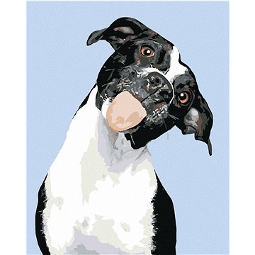 Malování podle čísel - Černobílý pes a vypláznutý jazyk (HRAmal00753nad)