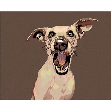 Malování podle čísel - Překvapený pes (HRAmal00770nad)