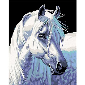 Malování podle čísel - Bílý kůň II (HRAmal00812nad)