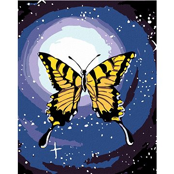 Malování podle čísel - Motýl a noční obloha (HRAmal00814nad)