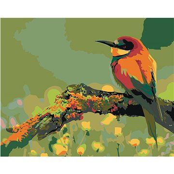 Malování podle čísel - Malý barevný ptáček se špičatým zobákem (HRAmal00861nad)
