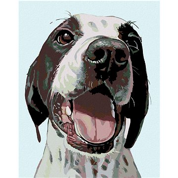 Malování podle čísel - Šťastný pes (HRAmal00909nad)