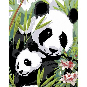 Malování podle čísel - Panda s mládětem (HRAmal00910nad)