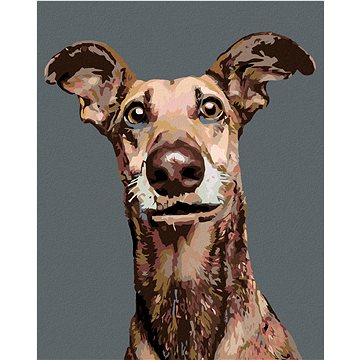 Malování podle čísel - Pes s nastraženýma ušima (HRAmal00927nad)