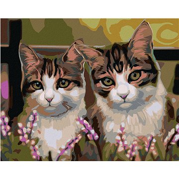 Malování podle čísel - Kočky v trávě (HRAmal00953nad)