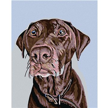 Malování podle čísel - Hnědý pes s hnědým obojkem (HRAmal01029nad)
