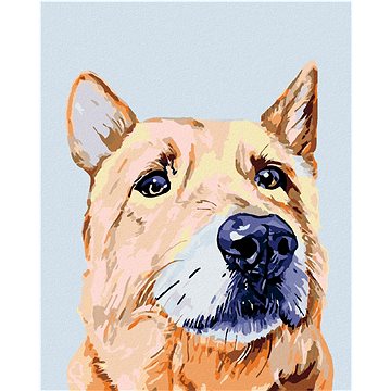 Malování podle čísel - Smutný pes (HRAmal01050nad)