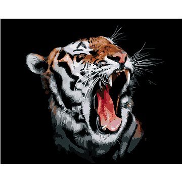 Malování podle čísel - Tygr s otevřenou tlamou (HRAmal01106nad)