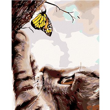 Malování podle čísel - Kočka a žlutý motýl (HRAmal01118nad)