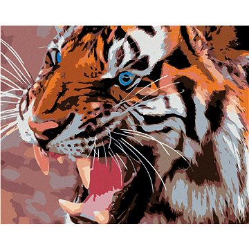 Malování podle čísel - Modré tygří oči (HRAmal01202nad)