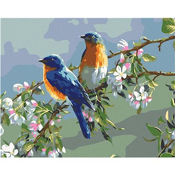 Malování podle čísel - Ptáčci (HRAmal01204nad)