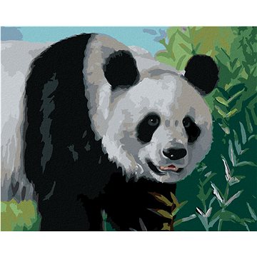 Zuty - Malování podle čísel - PANDA (D. RUSTY RUST), 80x100 cm, vypnuté plátno na rám (HRAmmb03601nad)