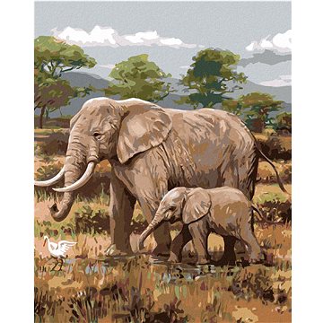 Zuty - Malování podle čísel - AFRICKÉ SAFARI SLONI (JOE HAUTMAN), 80x100 cm, vypnuté plátno na rám (HRAmmb04787nad)