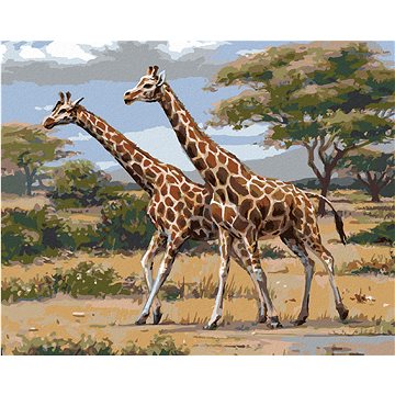Zuty - Malování podle čísel - AFRICKÉ SAFARI ŽIRAFY (JOE HAUTMAN), 80x100 cm, vypnuté plátno na rám (HRAmmb04795nad)