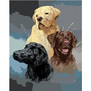 Zuty - Malování podle čísel - ZLATÝ, HNĚDÝ A ČERNÝ LABRADOR (JAMES HAUTMAN), 80x100 cm, vypnuté plát (HRAmmb04927nad)