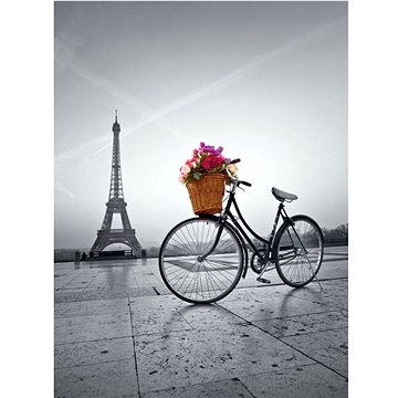 Puzzle 500 Romantická promenáda v Paříži (8005125350148)