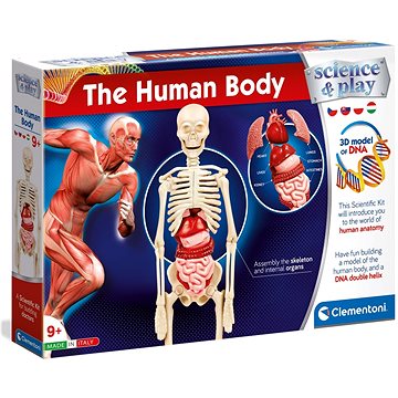 Lidské tělo (8005125503322)