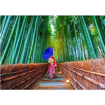 Enjoy Asijská žena v bambusovém lese 1000 dílků (1293)