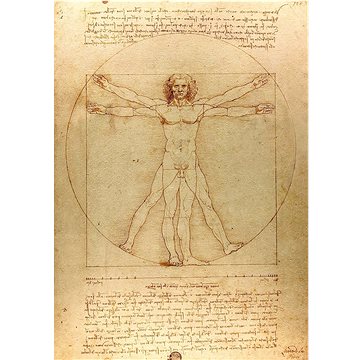 Enjoy Vitruviánský muž 1000 dílků (1557)