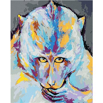 Barevná opice, 40×50 cm, vypnuté plátno na rám (6043741)