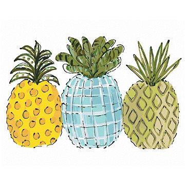 Barevné ananasy (Haley Bush), 40×50 cm, vypnuté plátno na rám (5018641)