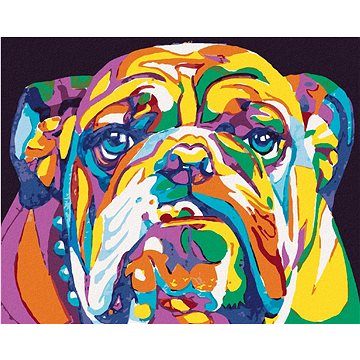 Barevný bulldog, 40×50 cm, vypnuté plátno na rám (6045161)