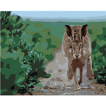 Běžící zajíc, 40×50 cm, vypnuté plátno na rám (6056251)
