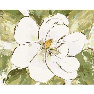 Bílá magnólie (Haley Bush), 40×50 cm, vypnuté plátno na rám (5018431)