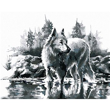 Bílý vlk, 40×50 cm, vypnuté plátno na rám (6052401)
