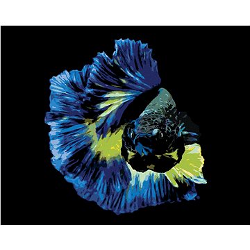 Bojovnice ryba modrá, 80×100 cm, bez rámu a bez vypnutí plátna (6050502)
