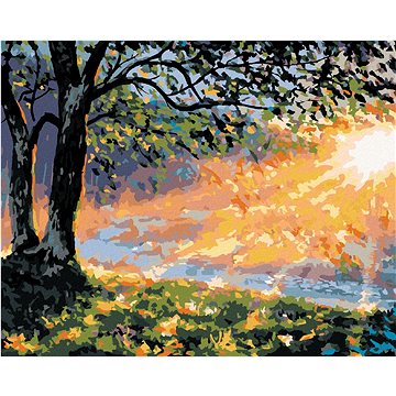 Brzké ráno v lese, 40×50 cm, vypnuté plátno na rám (6044971)