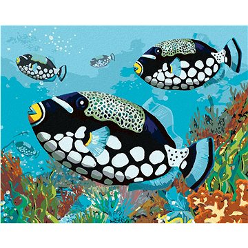 Černé rybky, 40×50 cm, bez rámu a bez vypnutí plátna (6051650)