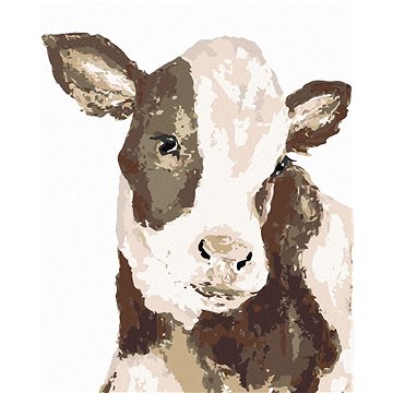 Černobílá kráva (Haley Bush), 40×50 cm, vypnuté plátno na rám (5017631)