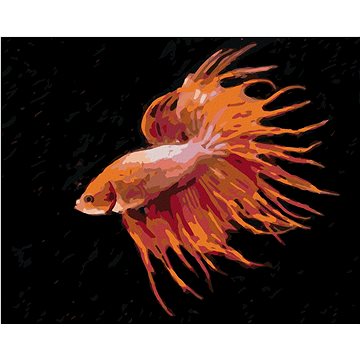 Červená ryba, 40×50 cm, vypnuté plátno na rám (6048921)