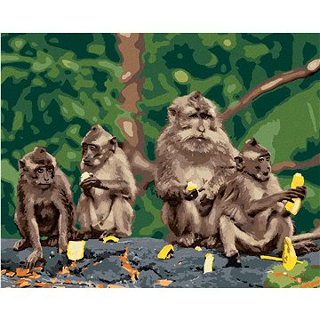 Čtyři opice s banány, 40×50 cm, bez rámu a bez vypnutí plátna (6043820)
