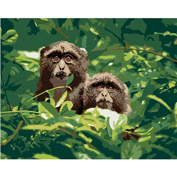 Dvě opice v lese v Jižní Africe, 40×50 cm, vypnuté plátno na rám (6043861)