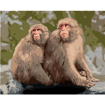 Dvě opice v zoo v Japonsku, 40×50 cm, bez rámu a bez vypnutí plátna (6043830)