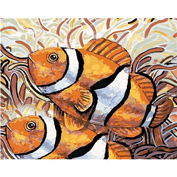 Dvě ryby Nemo, 40×50 cm, vypnuté plátno na rám (6051351)