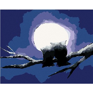 Dvě sovy a zářící měsíc, 40×50 cm, vypnuté plátno na rám (6047381)