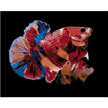 Dvě zbarvené rybky, 80×100 cm, bez rámu a bez vypnutí plátna (6050512)