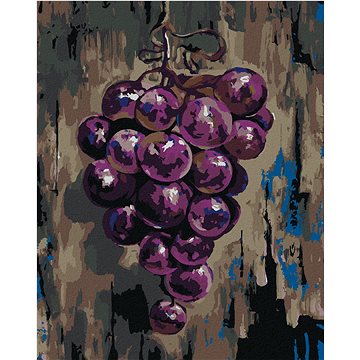 Fialové hroznové víno, 40×50 cm, vypnuté plátno na rám (6040671)