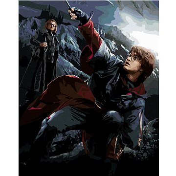 Harry Potter a Alastor Moody, 40×50 cm, vypnuté plátno na rám (6066721)