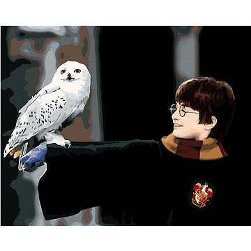 Harry Potter s Hedvikou na ruce, 40×50 cm, vypnuté plátno na rám (6063511)