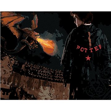 Harry Potter v aréně s drakem, 40×50 cm, bez rámu a bez vypnutí plátna (6066750)