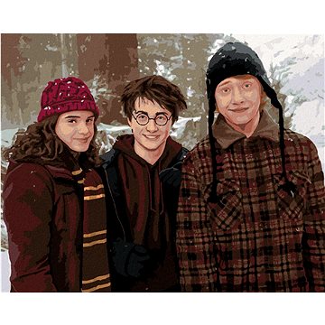 Harry Potter, Hermiona a Ron v zasněžené krajině, 40×50 cm, bez rámu a bez vypnutí plátna (6063400)