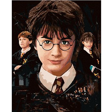 Harry Potter, Hermiona a Ron, 40×50 cm, bez rámu a bez vypnutí plátna (6066990)