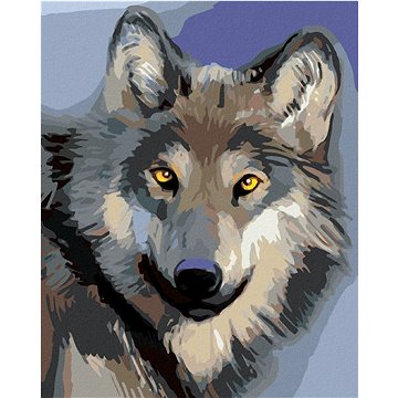 Hlava vlka, 40×50 cm, vypnuté plátno na rám (6052571)