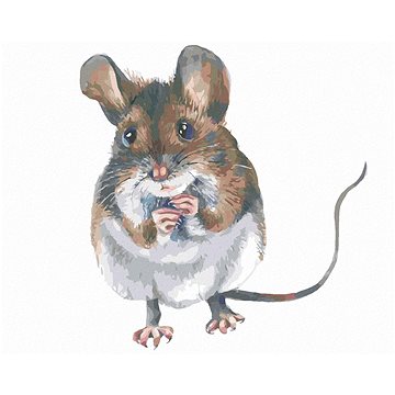 Hnědá myška, 40×50 cm, bez rámu a bez vypnutí plátna (6055320)